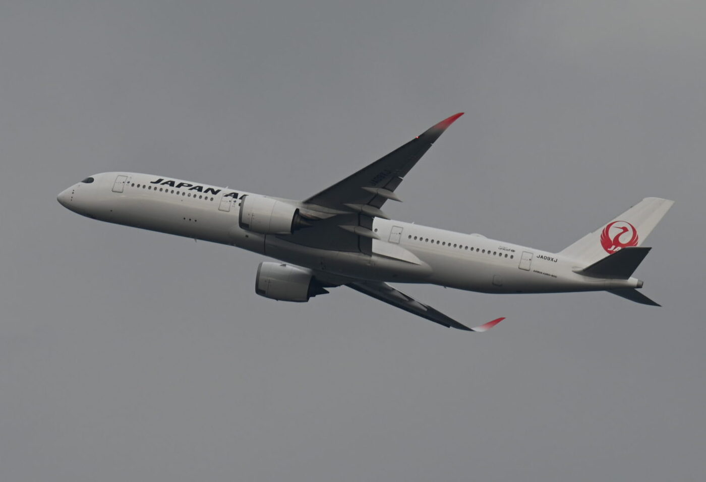 JALのエアバス A350-900 国内線仕様機体